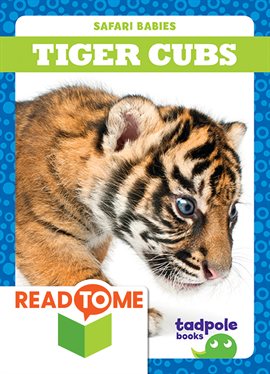 Cover image for Tiger Cubs