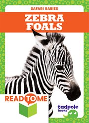 Zebra foals cover image