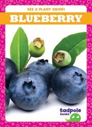 Blueberry cover image