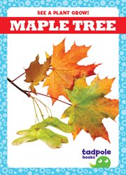 Maple Tree cover image