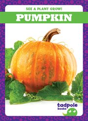 Pumpkin cover image