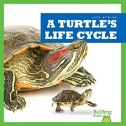A Turtle's Life Cycle cover image