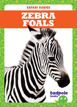 Cover image for Zebra Foals