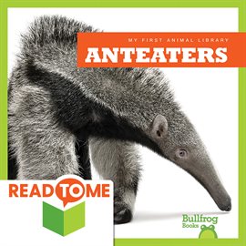 Cover image for Anteaters