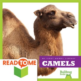 Cover image for Camels