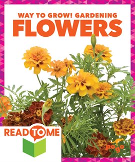 Cover image for Flowers