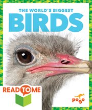 The world's biggest birds cover image