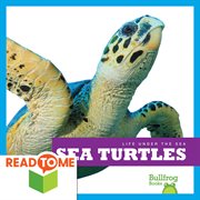Sea turtles cover image