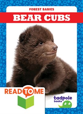 Cover image for Bear Cubs