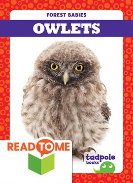 Cover image for Owlets