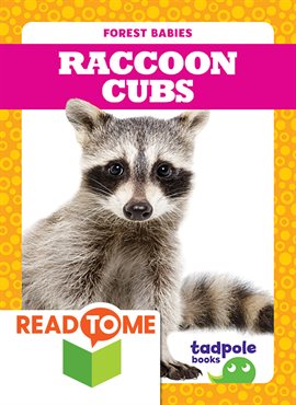 Cover image for Raccoon Cubs