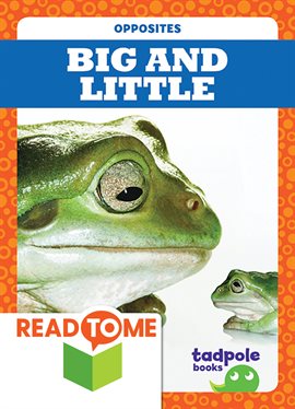 Cover image for Big and Little