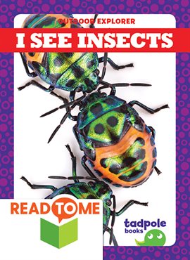 Cover image for I See Insects