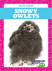 Snowy owlets cover image