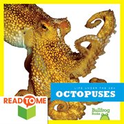 Octopuses cover image