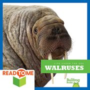 Walruses cover image