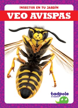 Cover image for Veo avispas (I See Wasps)