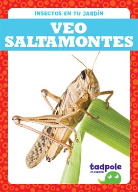 Cover image for Veo saltamontes (I See Grasshoppers)