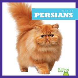 Cover image for Persians