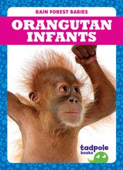 Orangutan infants cover image