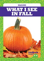 What i see in fall cover image
