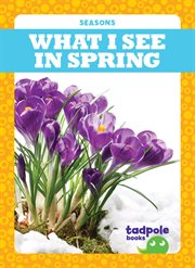 What i see in spring cover image