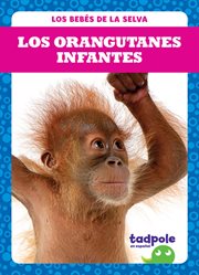 Los orangutanes infantes (orangutan infants) cover image