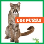Los pumas (Cougars) cover image