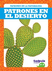 Patrones en el desierto (Patterns in the Desert) cover image