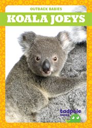 Koala joeys cover image