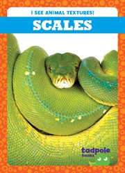 Scales cover image