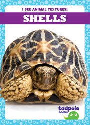 Shells cover image
