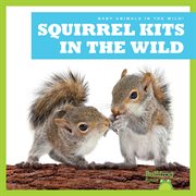 Squirrel Kits in the Wild cover image