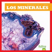 Los minerales cover image