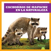 Cachorros de mapache en la naturaleza : ¡Animales Bebés En La Naturaleza! cover image