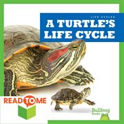 A turtle's life cycle : Life Cycles cover image