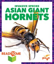Asian giant hornets cover image