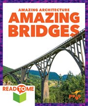 Amazing bridges cover image