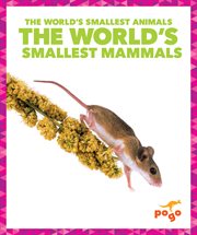 The World's Smallest Mammals cover image
