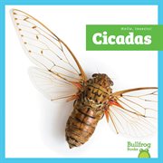 Cicadas cover image
