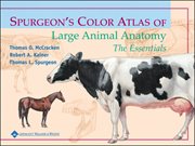 Spurgeon's Color Atlas of Large Animal Anatomy : The Essentials cover image