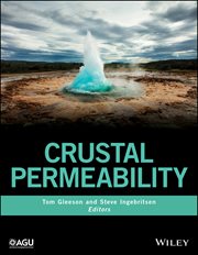 Crustal Permeability cover image