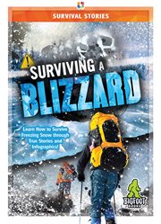 Surviving a blizzard cover image