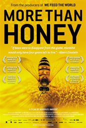 More than honey cover image