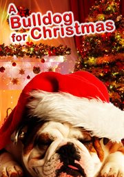 A bulldog for Christmas cover image