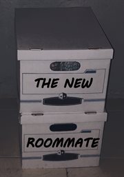 The new roommate cover image