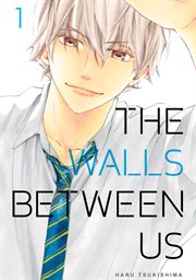 The Walls Between Us : Walls Between Us cover image