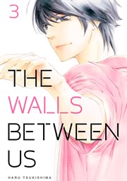 The Walls Between Us. Vol. 3 cover image