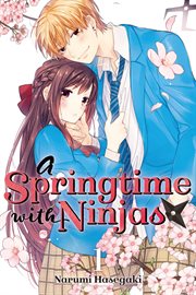 A Springtime with Ninjas : Springtime with Ninjas cover image