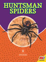 HUNTSMAN SPIDERS cover image